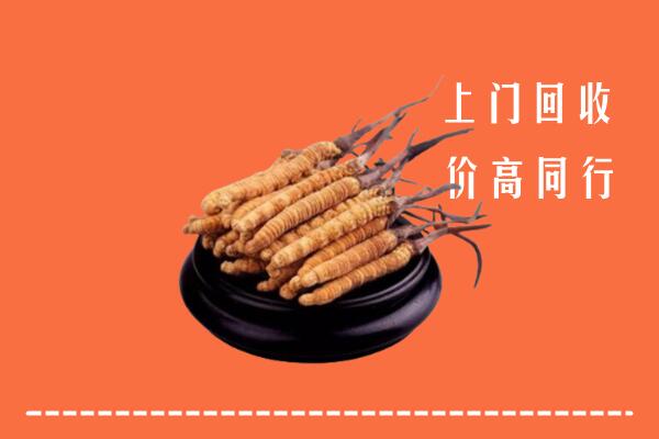 高价求购：厦门市同安区回收散虫草