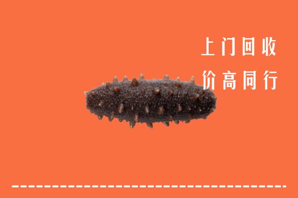高价求购：厦门市同安区回收海参