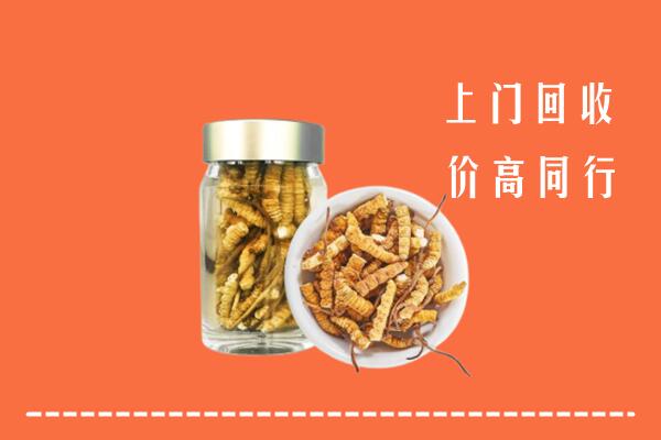 厦门市同安区回收冬虫夏草