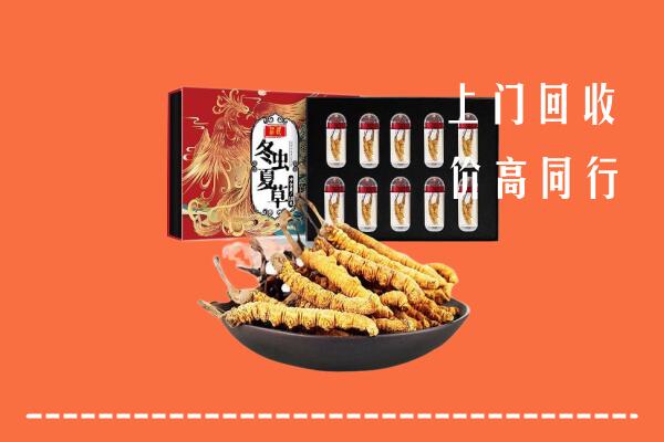 厦门市同安区回收虫草